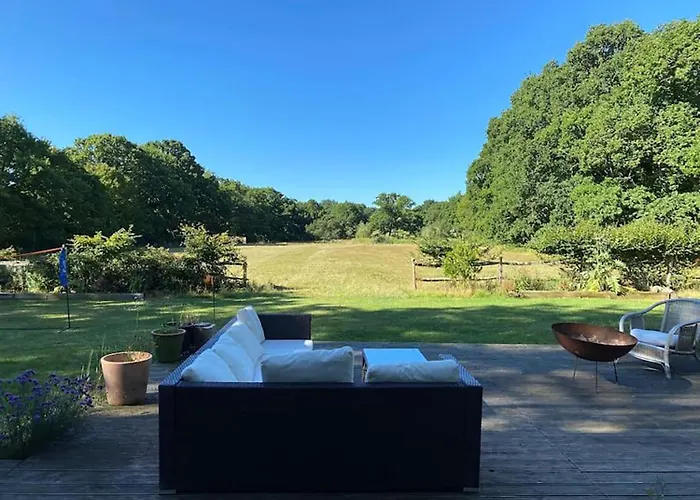 A House In The Woods
